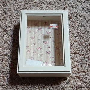 Target Cream and Pink Floral Shadow Box Display Case